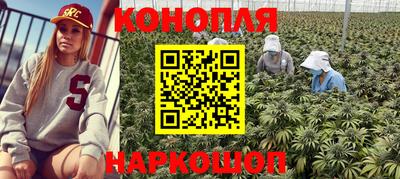 мяу мяу мука Кандалакша