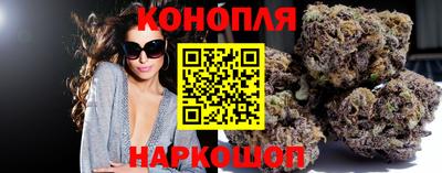 мяу мяу мука Кандалакша