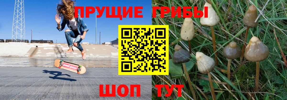 Псилоцибиновые грибы мицелий  Галлюциногенные грибы Cubensis  Тейково  Вход с VPN 